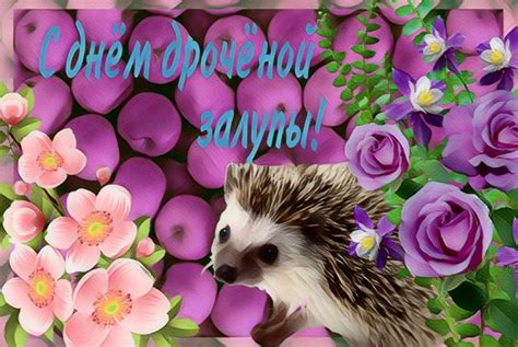 С днём дрочёной залупы! | Memes, Hamster, Animals