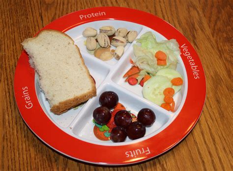 Plate Helps Kids Eat Their Food Groups - Wholistic Woman