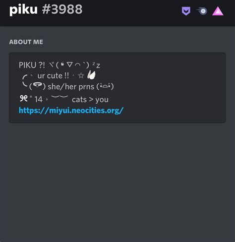 Cute Discord Bio Template