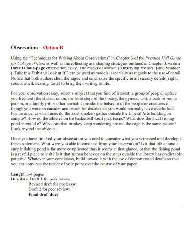 Observation Essay Examples Format How To Write Pdf