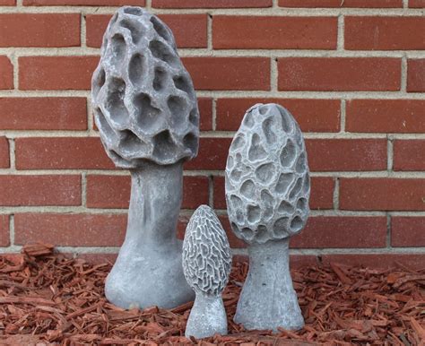 Mushroom Set Smmdlg Smith Garden Center