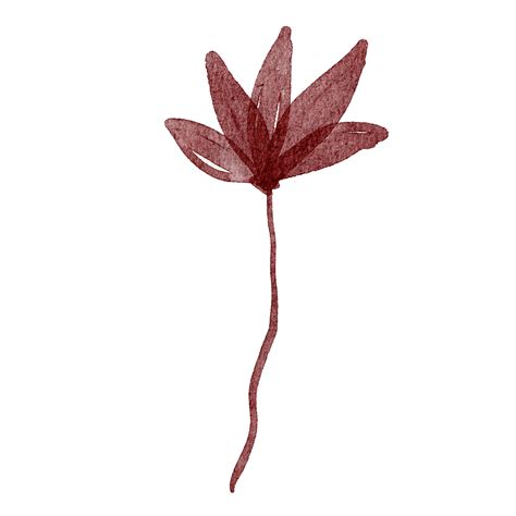 Watercolor Clip Artmany Colored Leaves 15085979 Png