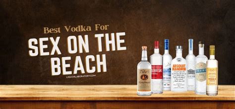 10 Best Vodka For Sex On The Beach Cocktail 2024