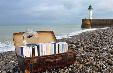 Llibres Que Hauries De Llegir Aquest Estiu Les Recomanacions De L