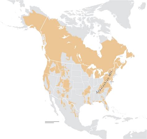 Black Bear Habitat Map