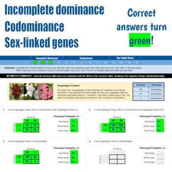 Incomplete Dominance Codominance Sex Linked Genes Punnett Squares