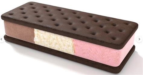 Freeze Dried Ice Cream Sandwich Nasa Space Dessert 6 Count Neapolitan