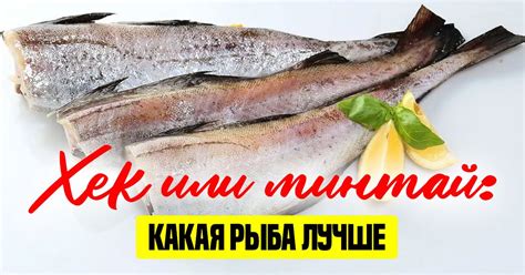 Хек или минтай: какая рыба полезнее - Со Вкусом