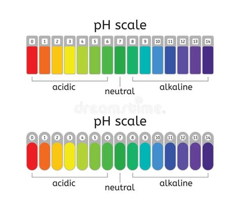 Scala Di Ph Grafico A Colori Della Cartina Al Tornasole Illustrazione