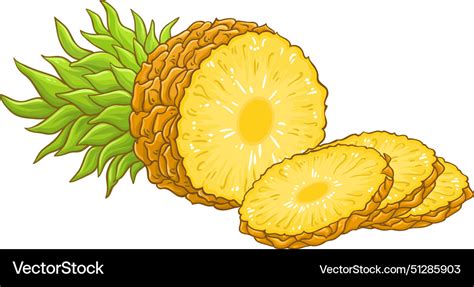 Pineapple Fruit Colored Detailed Royalty Free Vector Image