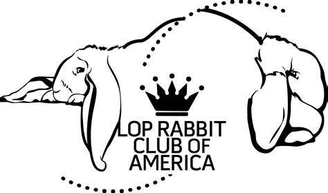 old rabbit club new york 4