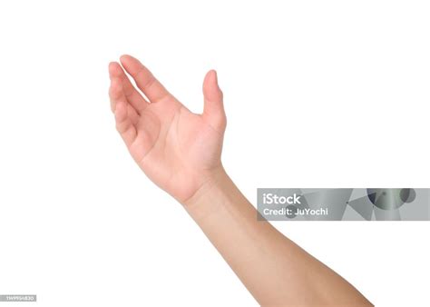 hand gesture stock photo  image  hand reaching white