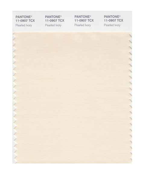 Recommendation Champagne Color Pantone 563