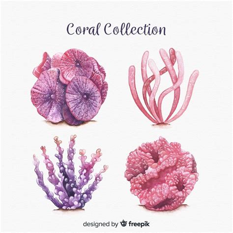 Coleção De Coral Aquarela Vetor Grátis