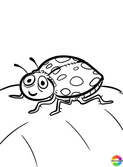 49 Insekten Ausmalbilder Kostenlos Zum Ausdrucken Für Kinder