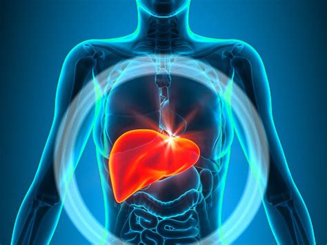 Доктор назвал два опасных способа лечения печени: читать на Golos.ua