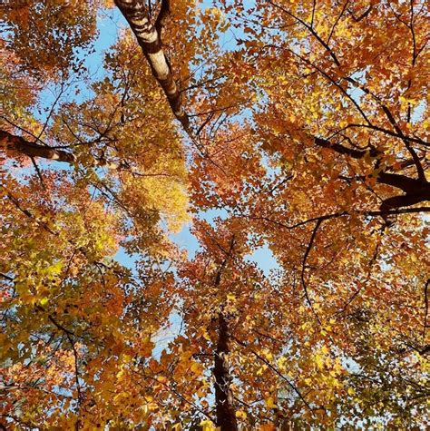 Premium Photo | Scenics - nature in tai tong