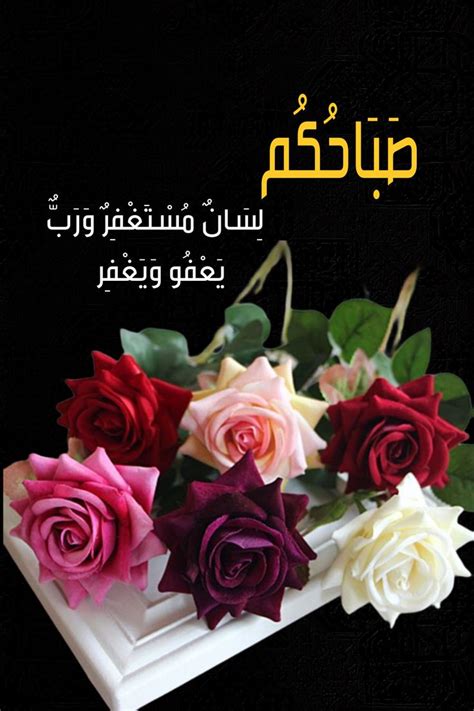 Pin By Masoud Al Nuamani On Flowers Roses Rose Flowers Plants