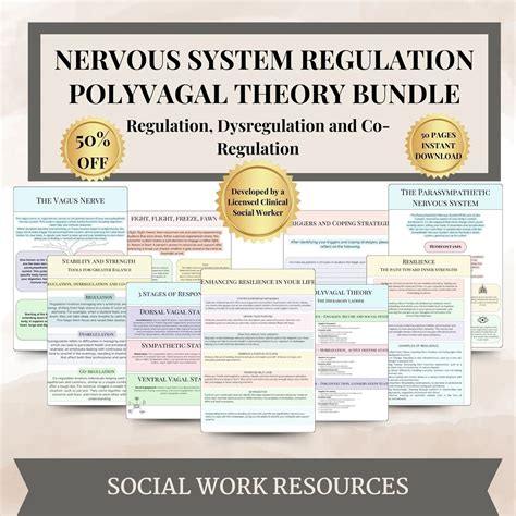 Nervous System Regulation Workbook, Polyvagal Theory Ladder Vagus Vagal
