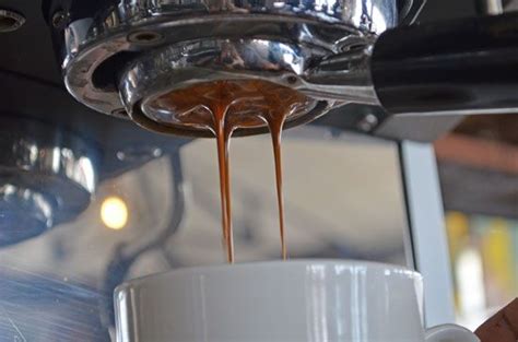 Your Local Cafe A Place Where Ideas Have Sex Coffee Magazine