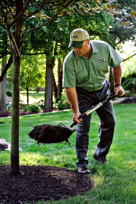 Tree Watering Tips Total Landscape Care