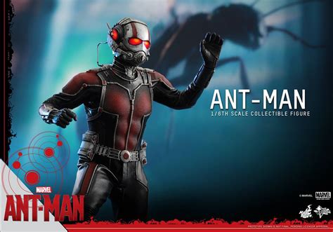 Hot Toys Ant Man Collectible Action Figure Geektyrant