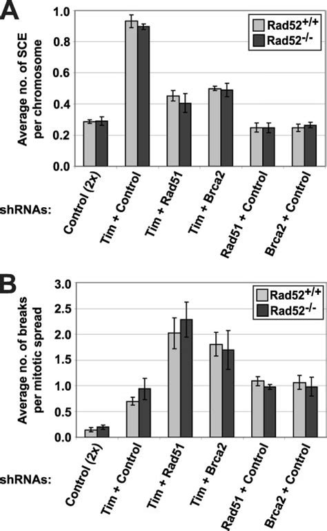 Sce Requires Brca And Rad In Tim Reduced Cells A Quantification Of