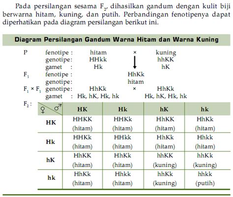 Contoh Soal Kriptomeri Sinau