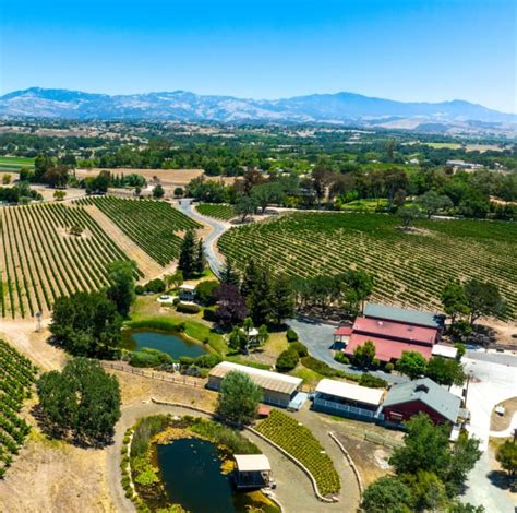 Beckmen Vineyards Wine Enthusiast