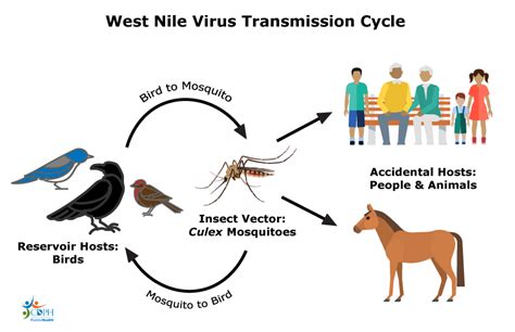 West Nile Virus - Marin/Sonoma Mosquito and Vector Control District