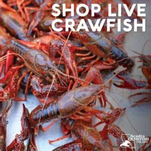 Buy Louisiana Crawfish | Acadia Crawfish | Louisiana