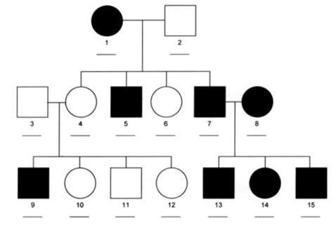 Unit 5 Test Review Ap Bio Flashcards Quizlet