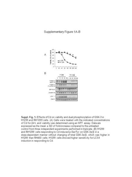 DHA Induces Apoptosis Independently From Caspase 8 And FADD In Jurkat T