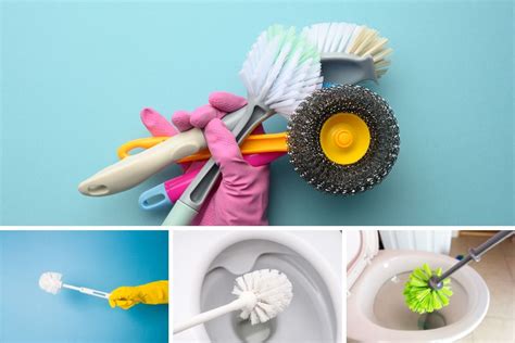 Different Types Of Toilet Brushes Buying Guide