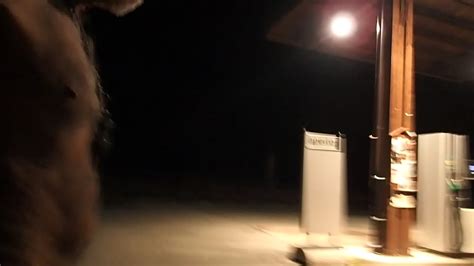 Gas Staion Naked Visit XNXX