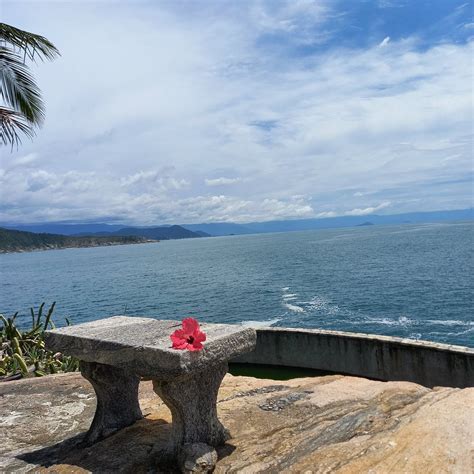 Ilha Dos Arvoredos Guaruja Ce Quil Faut Savoir