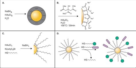 Different Schematics For Gold Nanoparticle Synthesis A Basic