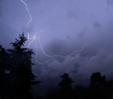 West Seattle Blog… | WEST SEATTLE WEATHER: Flooding alert issued as