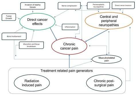 Managing Severe Cancer Pain with Oxycodone/Naloxone Treatment: A
