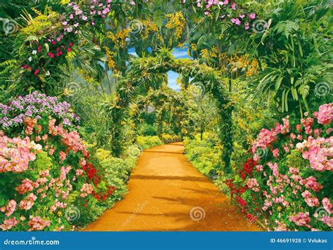 Flower Alley Stock Photo Image Of Liana Road Arches 46691928