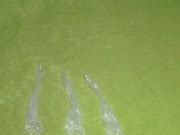 How To Make A Realistic And Hot Pussy From Available Materials Version 3 Diy Sex Toy Xxx