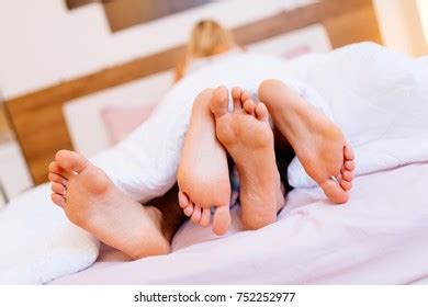 Couple Having Sex Under Blanket Stock Photo Shutterstock
