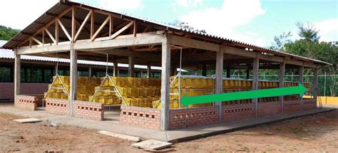 ESPECTACULARES Jaulas Para GALLINAS PONEDORAS