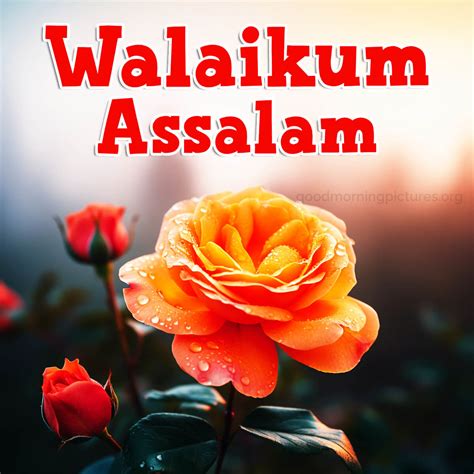 20 Good Morning Walaikum Assalam Images