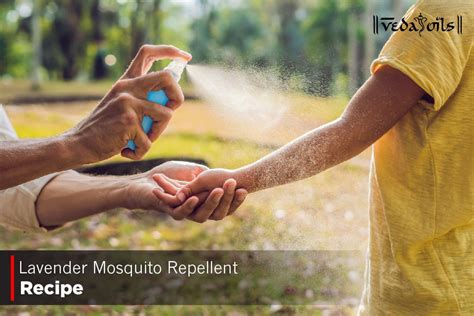 Homemade Lavender Mosquito Repellent – VedaOils