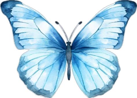 cute watercolor butterfly clipart  transparent background png