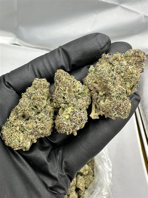 ALASKAN THUNDER FUCK INDOOR Hemp House