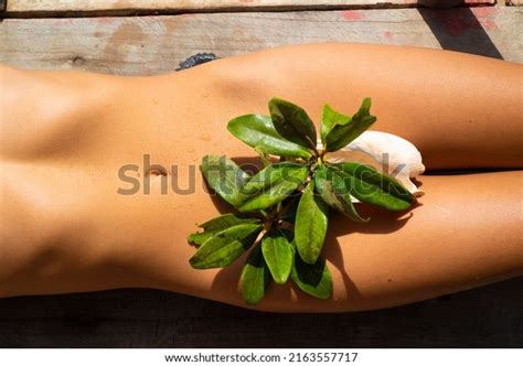 Hips Legs Naked Woman Covered Shell Stock Photo Shutterstock