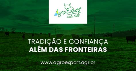A Agroexport Uma Empresa Tradicional - Agroexport | Tradição e Confiança Além das Fronteiras