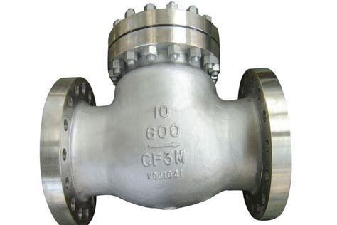 Best Industrial Swing Check Valve Manufacturer In Ahmedabad Dual